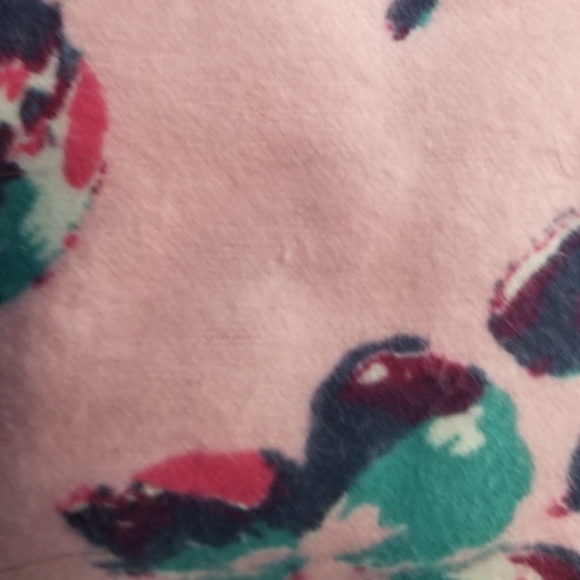 PINK - Kmart flannel pajamas - Picture 4 of 5